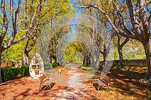 Ona park town near Burgos, Castile and León, Spain with seats and trees