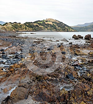 Onawe Paninsula Volcanic Plug, Akaroa Harbour, New Zealand