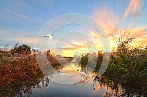 A Florida Sunrise Fog photo