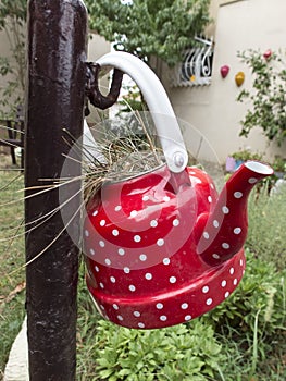 Once a teapot now a decoration in the yard