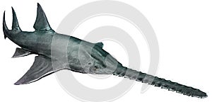 Onchopristis 3D illustration