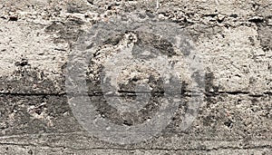 Oncrete texture closeup