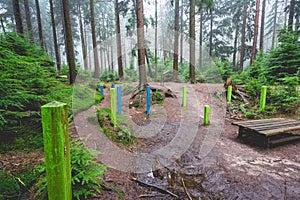 Onderduikershol Drie, a hidden shelter from World War Two, Speulderbos, The Netherlands, January 13, 2022. photo