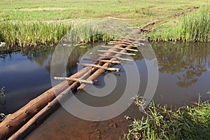 Ondiri Swamp in Kikuyu, Kenya