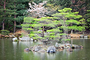 One of 10 smaller islands of the Mirror Pond Kyoko-chi lake is in a magnificent Japanese strolling garden. Kyoto, Japan. Rainy d