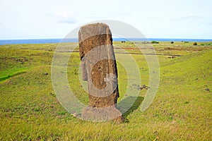 One of abandoned huge Moai statues on the foothill of Rano Raraku volcano, historic Moai quarry on Easter Island, Chile