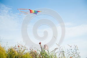 One active little caucasian child in shirt holding multicolored flying kite in air standing among flower and grass field in summer