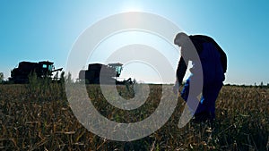 One agriculturist walks in a field, checking crops.