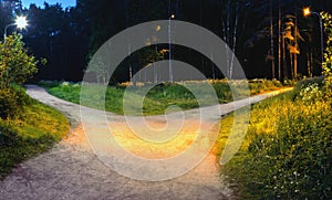 One alley in the park at night is divided into two hiking trails, diverging in different directions, illuminated by electric