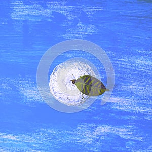 One Apple on a blue shabby background in a foil wrapped green leaf.