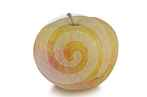 One apple Reinette isolated on white background