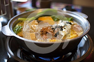 One of asia all kinds of hot pot photo