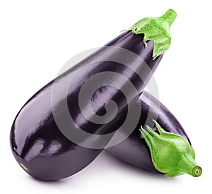 One aubergine eggplant isolated on white