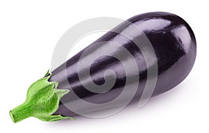 One aubergine eggplant isolated on white