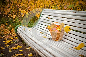 One autumn day in the park