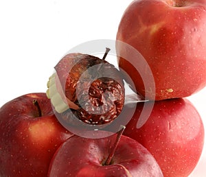 One bad apple spoils the whole bunch