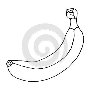 One beautiful banana isolated on a white background. Illustration for coloring book