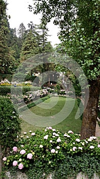 one of the beautiful garden name as COMPANY GARDEN situated in mussori