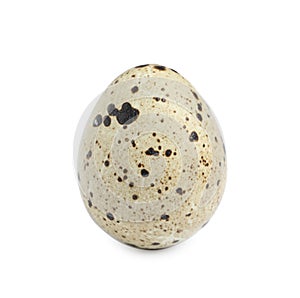 One beautiful quail egg isolated on white