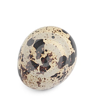 One beautiful quail egg isolated on white