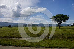 One beautifull scene on the roadside to Iringa region