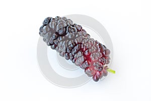 One berry mulberry on a white background. Closeup