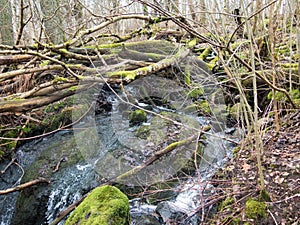 One big stone in the water full of moss