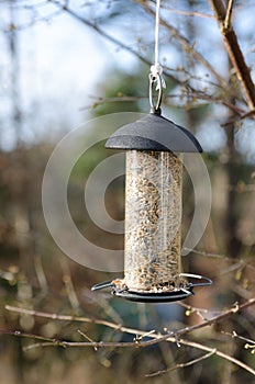 One bird feeder hangs in the three