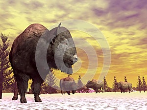 Bisons in winter - 3D render