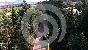 One black SUV car travel on empty straight asphalt road freeway through dense forest corridor