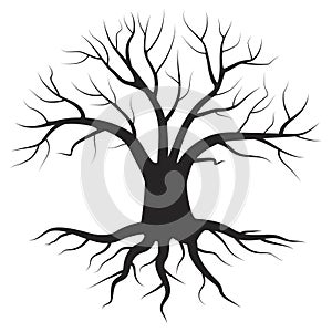 One black tree on white background. Realistic pattern. Nature background vector. Organic natural shape. Stock image