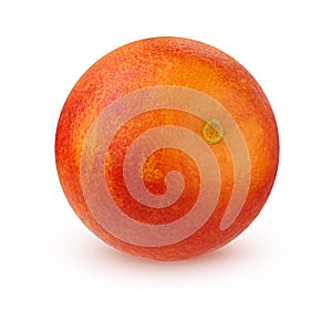 One bloody red orange on a white background.