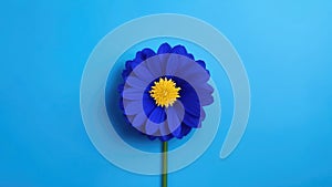 One blue flower on blue monochrome background. Copy space, place for text, empty space. View from above.