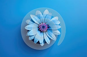 One blue flower on blue monochrome background. Copy space, place for text, empty space. View from above.