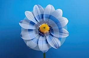 One blue flower on blue monochrome background. Copy space, place for text, empty space. View from above.