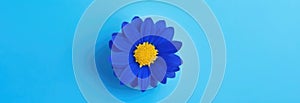 One blue flower on blue monochrome background. Copy space, place for text, empty space. View from above. Banner