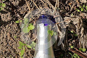 One blue glass bottle neck in white foil lies on the ground