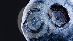 One blueberry covered with water drops isolated on black background. Antioxidant concept