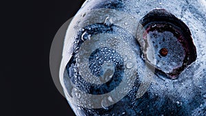 One blueberry covered with water drops isolated on black background. Antioxidant concept photo
