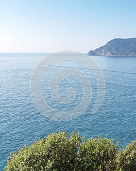 One boat on the ocean. Blue water with some cliffs in the background and greenery in foreground. Italy, Cinque Terre. Beautiful