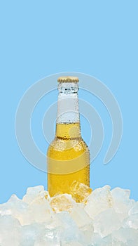 One bottle of cold lager beer on ice cubes