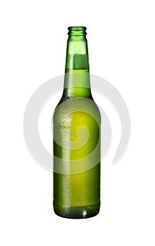 One bottle of fresh beer