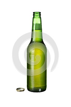 One bottle of fresh beer