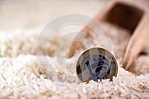 One brazilian real coin on a big pile of white rice, concept of food crisis in brazil, rising rice price and inflation