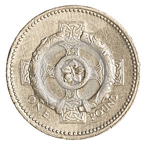 one british Pound coin