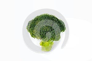 One broccoli branch on white background.