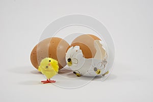 One broken decorative Easter egg, two chicken eggs and a chick