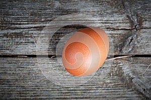 one brown chicken egg on a wooden background, top view, minimalism