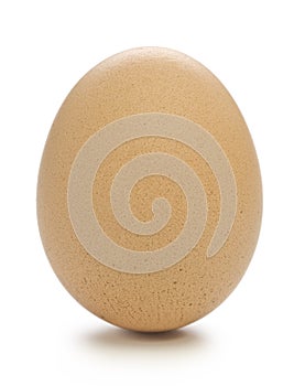 One Brown Egg