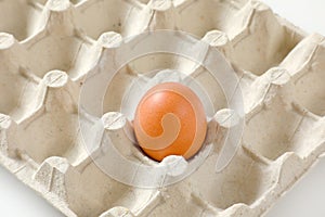 One brown egg in carton